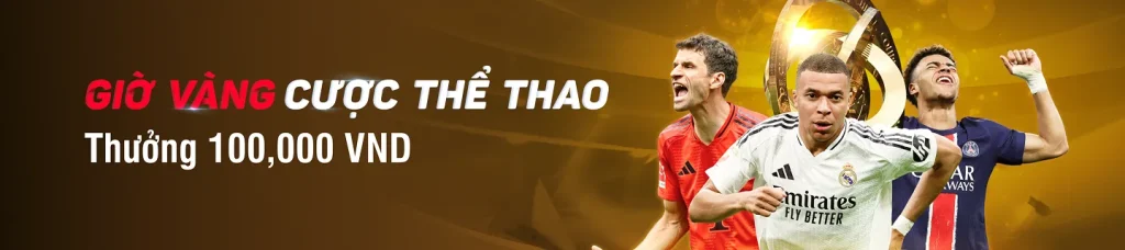 banner-home-da88